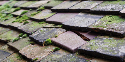 Wargrave roof repair costs